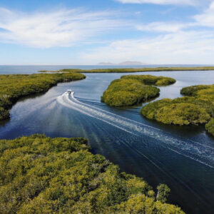 bahia magdalena tours