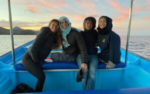 magdalena bay whale watching tours